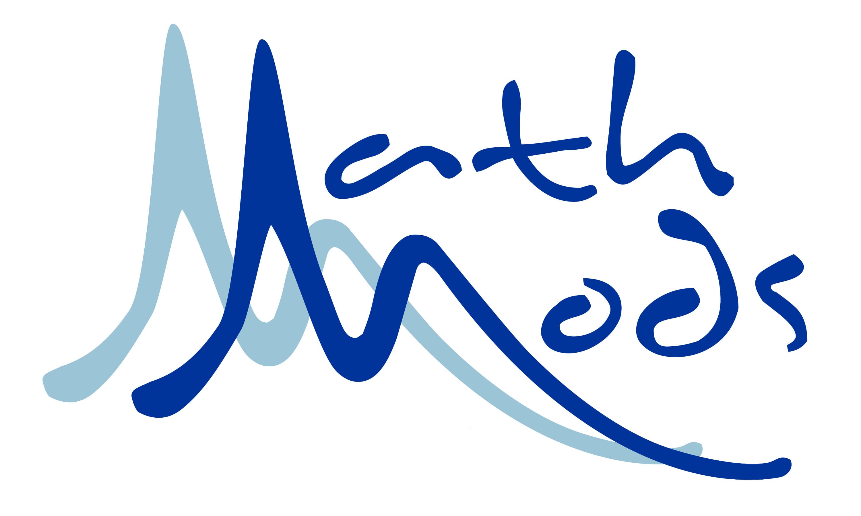 MathMods Joint MSc